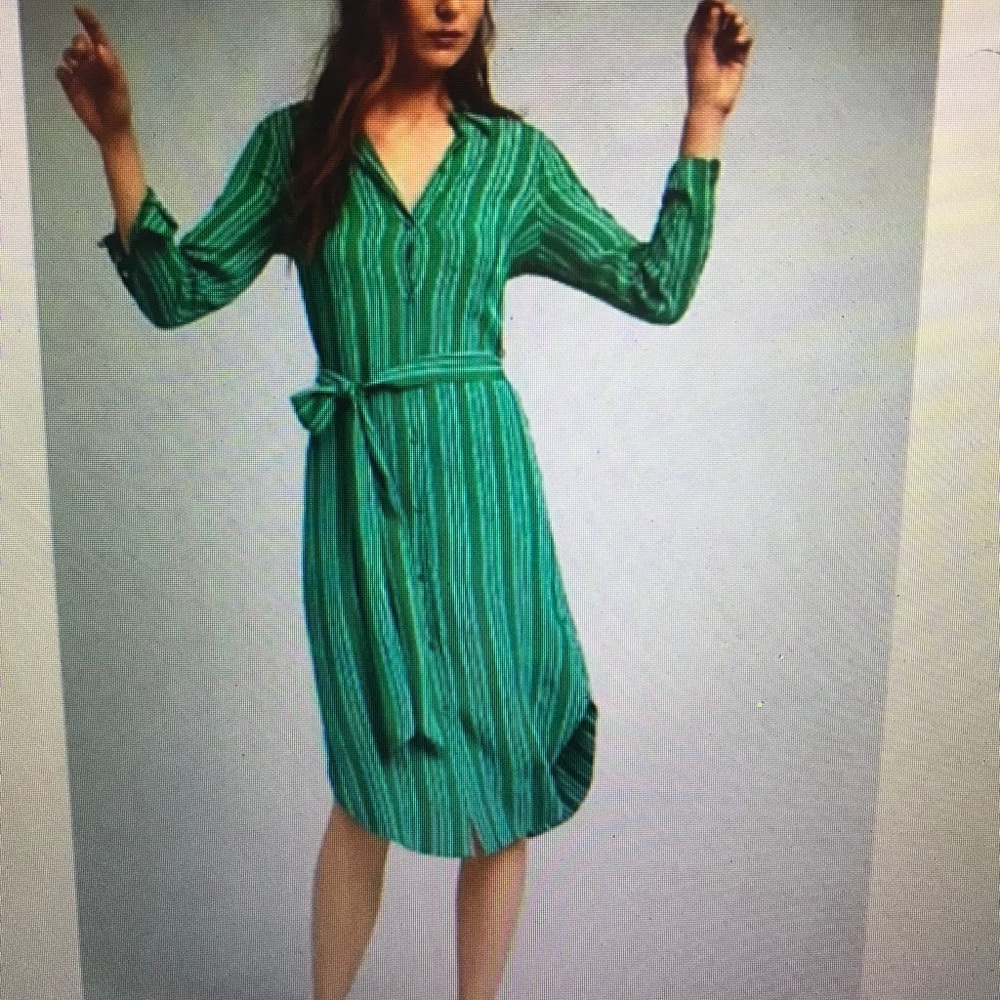Anthropologie Maeve Martina dress